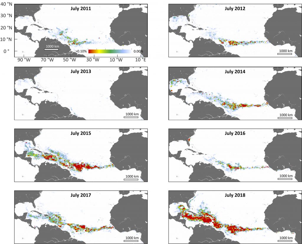 NASA’s satellite data (MODIS) confirms that the record-breaking seaweed belt forms in the summer months (northern hemisphere). 2015 and 2018 had the biggest of the massive blooms that started in 2011. Credit: USF College of Marine Science