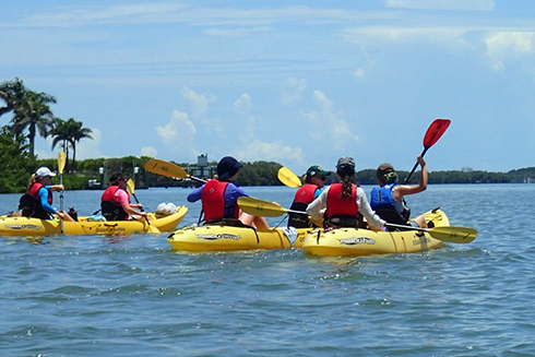 Kayaking field trip to Shell Key Preserve