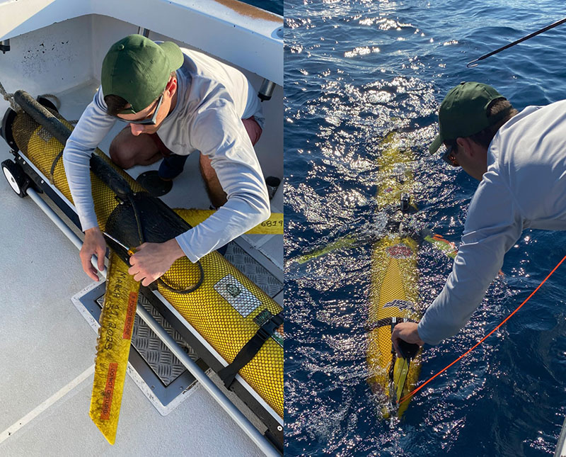 The College of Marine Science operates a fleet of eight semiautonomous gliders in the Gulf of Mexico and Atlantic Ocean, where they capture key data about ocean conditions. PHOTO CREDIT: Jessica Van Vaerenbergh, USF CMS graduate student.