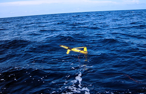 The glider fitted with a SUNA nitrate sensor was deployed by members of the Center for Ocean Technology to capture water column data. Photo credit, Chad Lembke. 