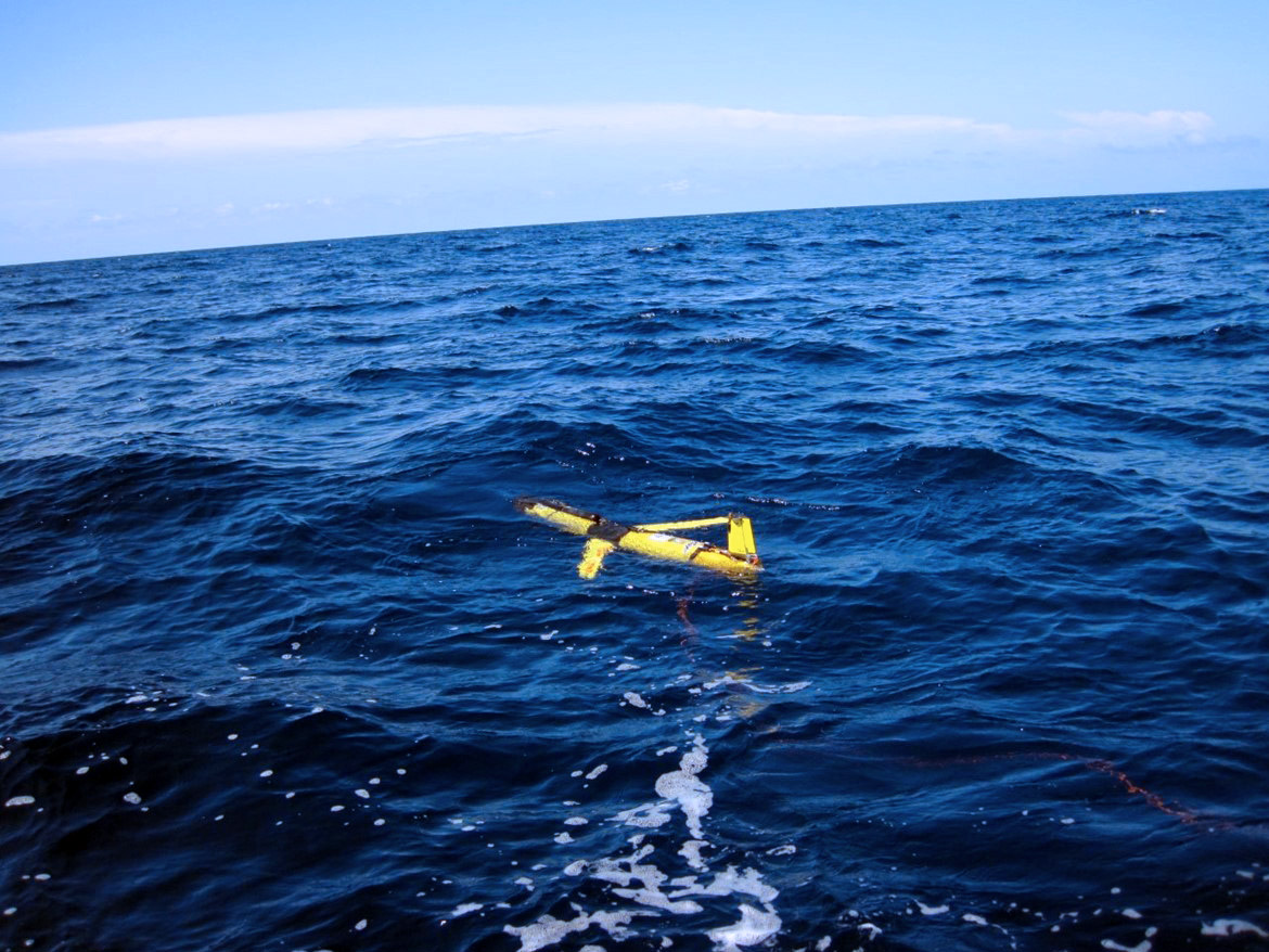 The glider fitted with a SUNA nitrate sensor was deployed by members of the Center for Ocean Technology to capture water column data. Photo credit, Chad Lembke. 