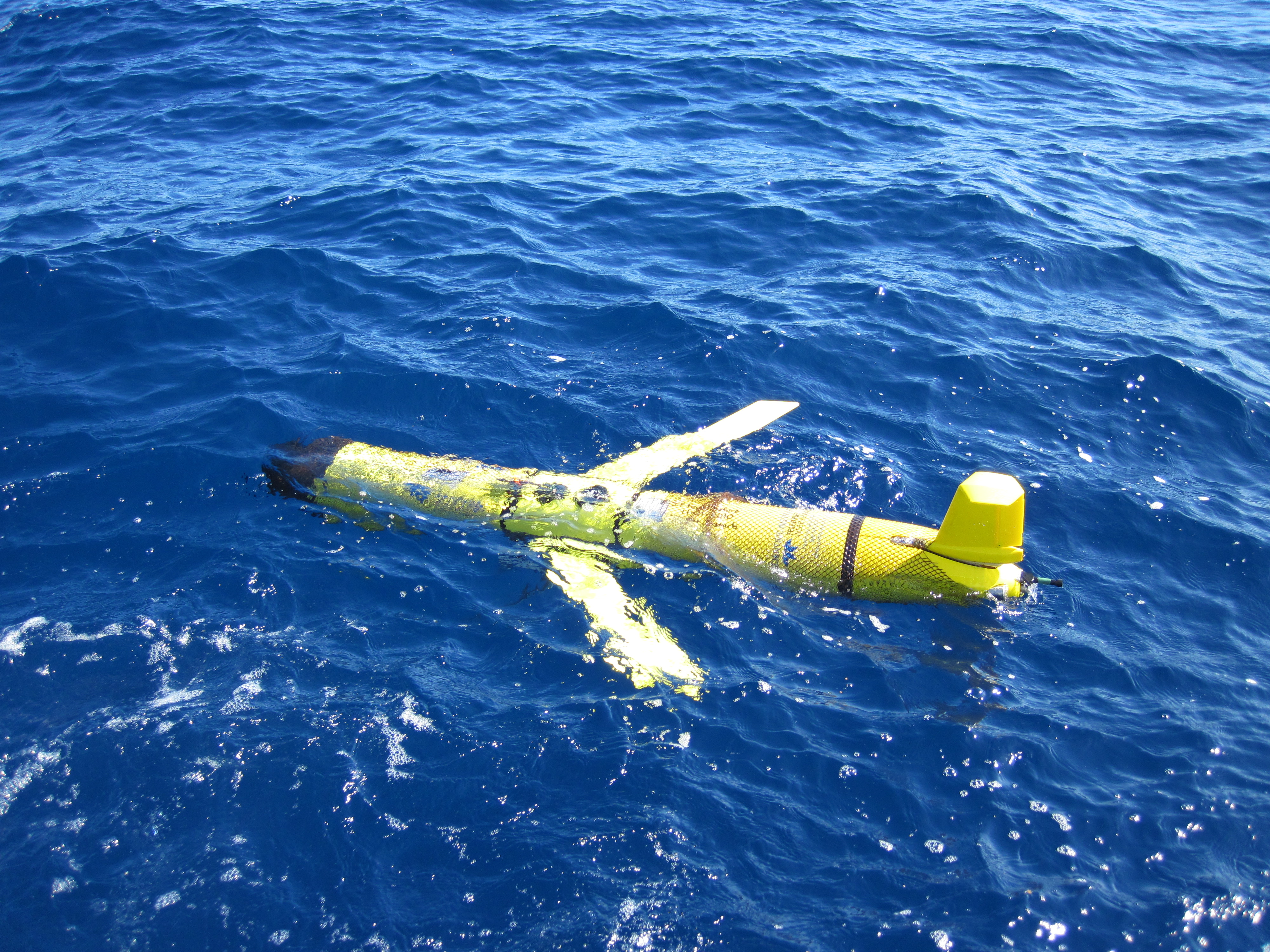 During months-long deployments, gliders gather biological, physical, and chemical data on things like fisheries, currents, and nutrients in the ocean.