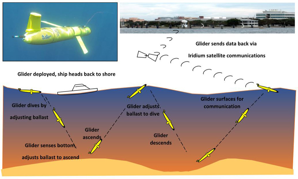 Gliders provide data to modelers in near-real time, making them valuable for forecasting the development of tropical systems.