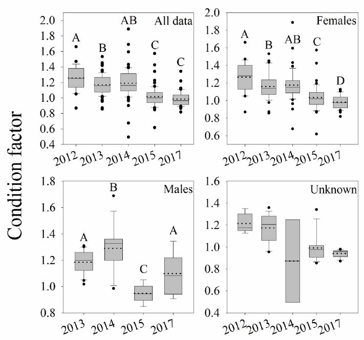 Graph showing the overall decline in the Fulton’s condition factor (K) for tilefish sampled between 2012 and 2017. The Fulton’s condition factor a metric routinely used by fisheries biologists that indicates the weight of a fish at a certain length. The letters (ABC) denote significantly different years.