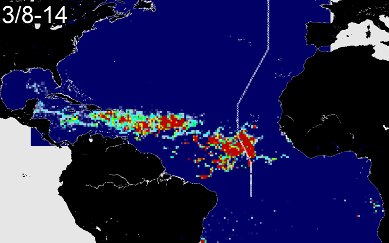 The Great Atlantic Sargassum Belt seen from satellite. Image courtesy of Chuanmin Hu and Brian Barnes.