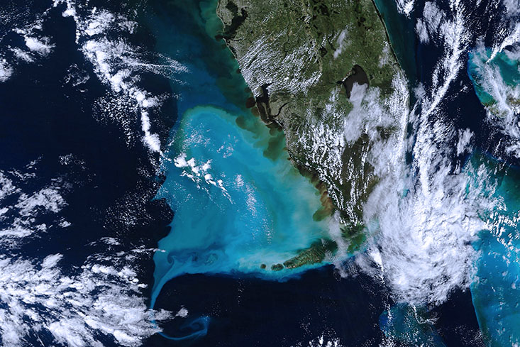 Hurricane Ian brought historic rainfall and flooding to Florida’s interior. In the days after the storm, discharged water from rivers and estuaries could be seen from satellite. Credit: NASA’s Earth Observatory.