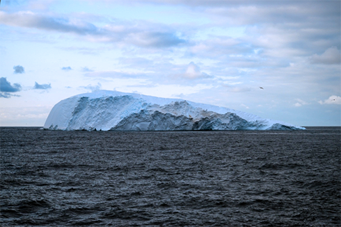 Iceberg grounded on Ross Bank. Photo courtesy of Rachel Meyne.