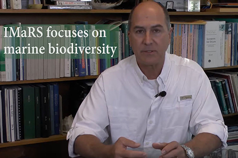 IMaRS focuses on marine biodiversity