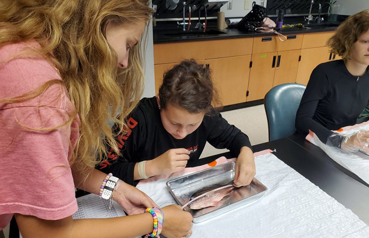 Campers examined several Spotted Seatrout and Spanish Mackerel carcasses with the goal of gaining insight into how these fish lived and their feeding patterns. 