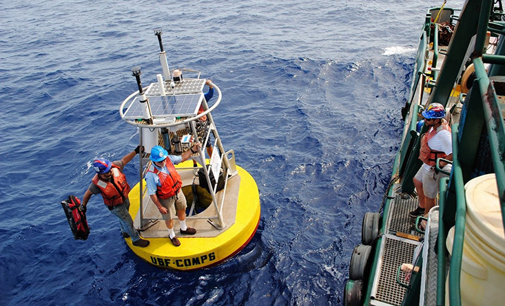 Jay Law and Dr. Robert Weisberg prepare to board the Weatherbird II after installing wind sensors on a buoy newly deployed at sea.