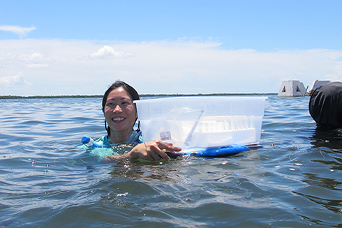 Jean Lim, a postdoc in the Breitbart Lab, uses qPCR and metagenomics approaches to study marine viruses.