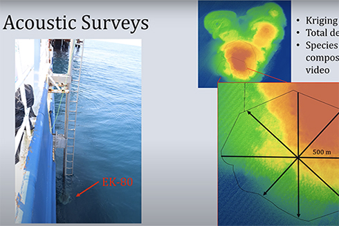 First year PhD student Jill Thompson-Grim presents her previous research assessing fish distribution in South Texas.