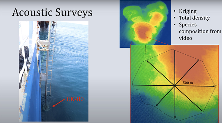 First year PhD student Jill Thompson-Grim presents her previous research assessing fish distribution in South Texas.