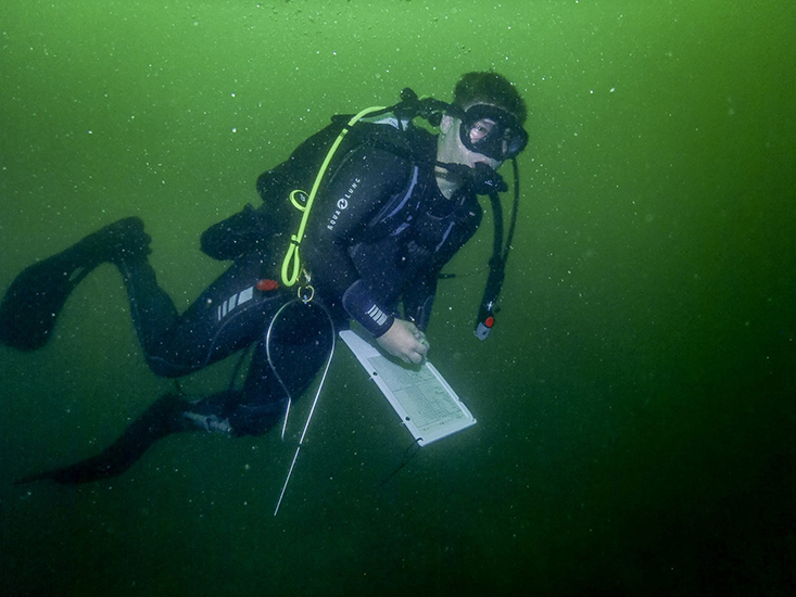 Diver Jon Peake conducting fish surveys 