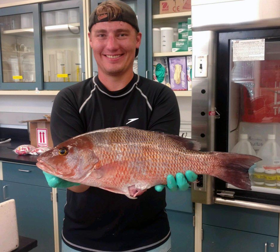 Jon Peake in the lab with an impressive gray snapper, just one of many prized gamefish that lure people to the Sunshine State.