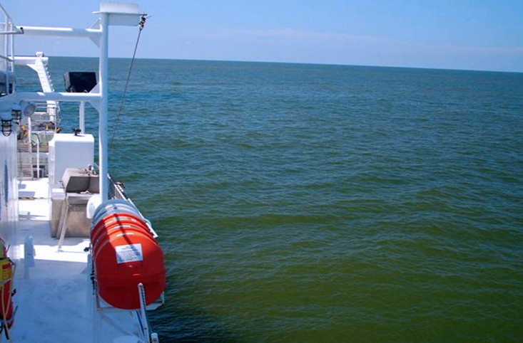 Surface aggregations of Karenia brevis showing patches of water with different cell concentrations. Photo credit FWC Fish and Wildlife Research Institute