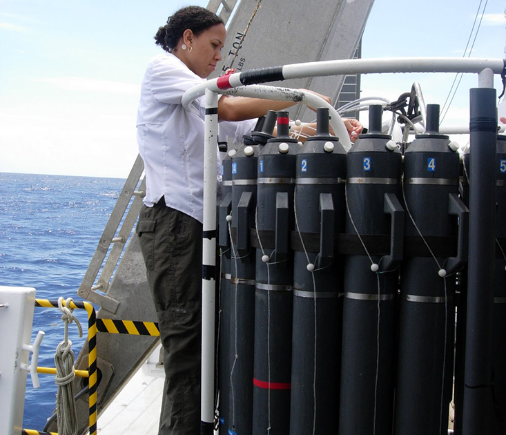 Karyna Rosario, PhD, who graduated from USF in 2010, was a recipient of the Bridge to the Doctorate fellowship. She now works as a research scientist in the marine genomics lab run by Mya Breitbart, PhD.