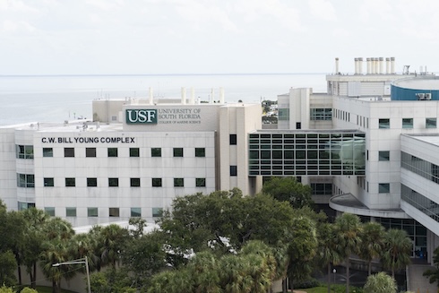 Thirteen researchers from the College of Marine Science were recognized for their career- long and single-year citation records, demonstrating their impact on oceanography.