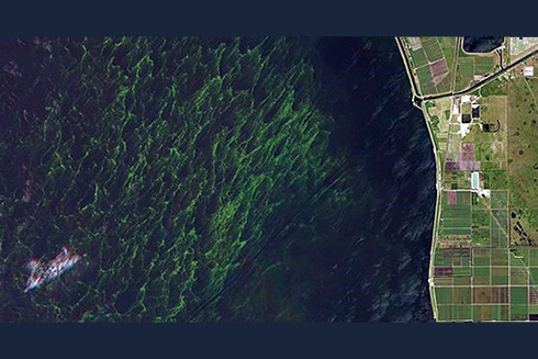 An aerial shot of Florida’s largest lake, Lake Okeechobee. Photo courtesy of Wikipedia Commons