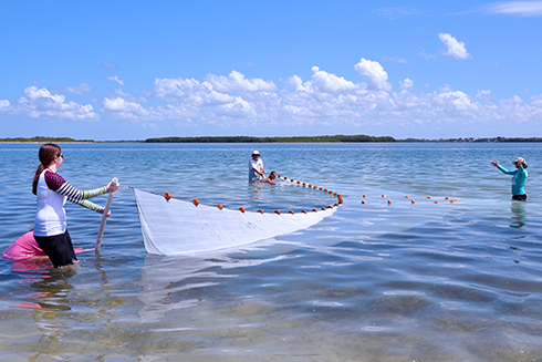 OCG - Clam Bayou Marine Education Center 