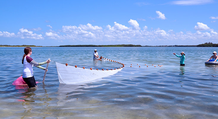 OCG - Clam Bayou Marine Education Center 