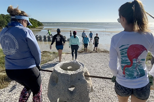 ‘Living Shoreline’ being built on St. Pete waterfront to protect area from continued erosion