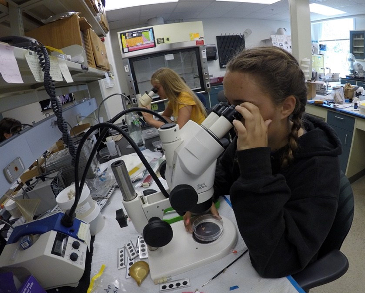 Looking at microfossils underneath a scope.