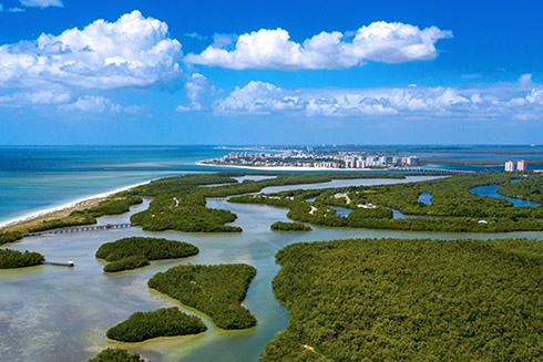 Through improved flood forecasting, the Florida Flood Hub for Applied Research and Innovation will inform science-based policy, planning, and management decisions to support a more resilient Florida for all.