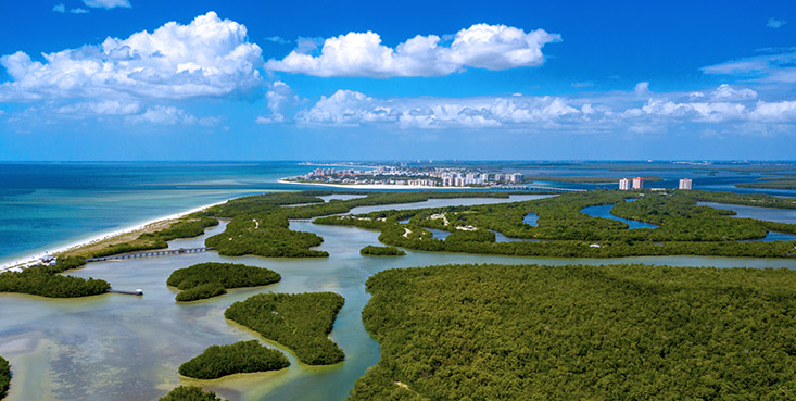 Through improved flood forecasting, the Florida Flood Hub for Applied Research and Innovation will inform science-based policy, planning, and management decisions to support a more resilient Florida for all.