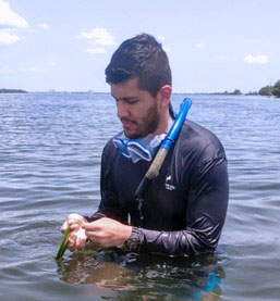 Luis Lizcano Sandoval, a PhD student in the lab of Dr. Frank Muller-Karger, uses satellite imagery to study seagrass coverage. 