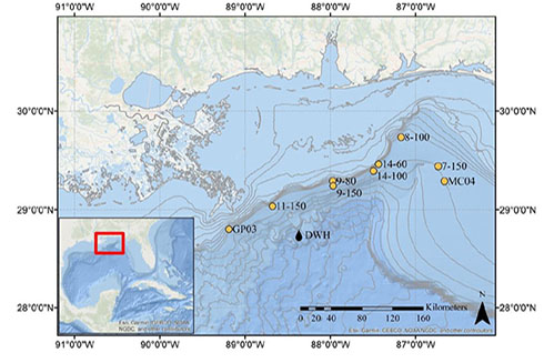 Map showing the location of the nine sample areas in the northern Gulf of Mexico for a six-year effort (2012-2017) to sample tilefish close to the historic Deepwater Horizon oil spill. 