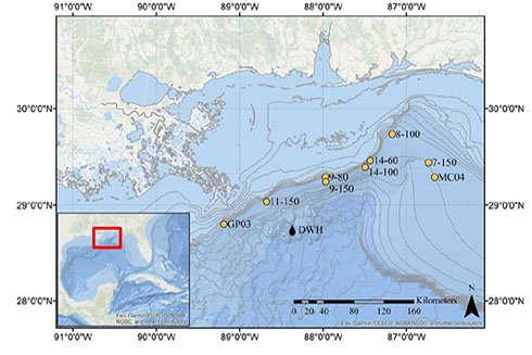 Map showing the location of the nine sample areas in the northern Gulf of Mexico for a six-year effort (2012-2017) to sample tilefish close to the historic Deepwater Horizon oil spill.
