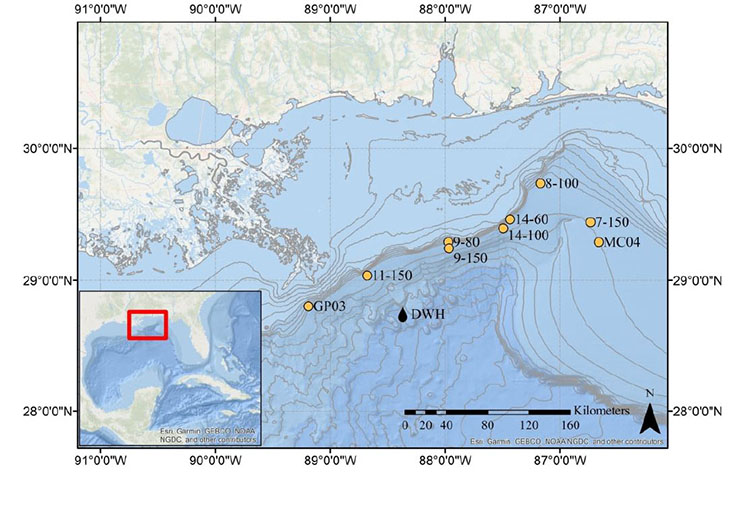 Map showing the location of the nine sample areas in the northern Gulf of Mexico for a six-year effort (2012-2017) to sample tilefish close to the historic Deepwater Horizon oil spill. 