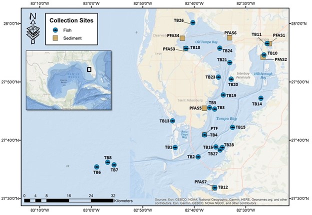 Map of sampling locations for sediment (orange squares) and fishes (green circles) used to assess PFAS contamination in Tampa Bay.