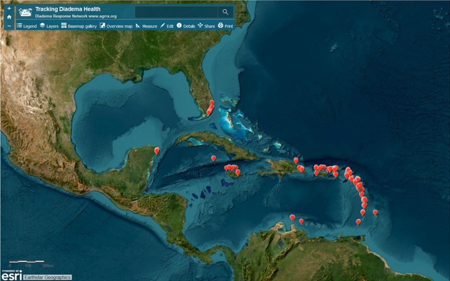 Map with red pins showing all the sites where DaSc was observed (www.agrra.org). Credit: AGRRA Diadema Response Network.