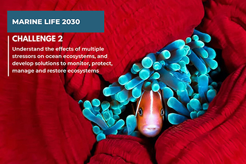Marine Life 2030
