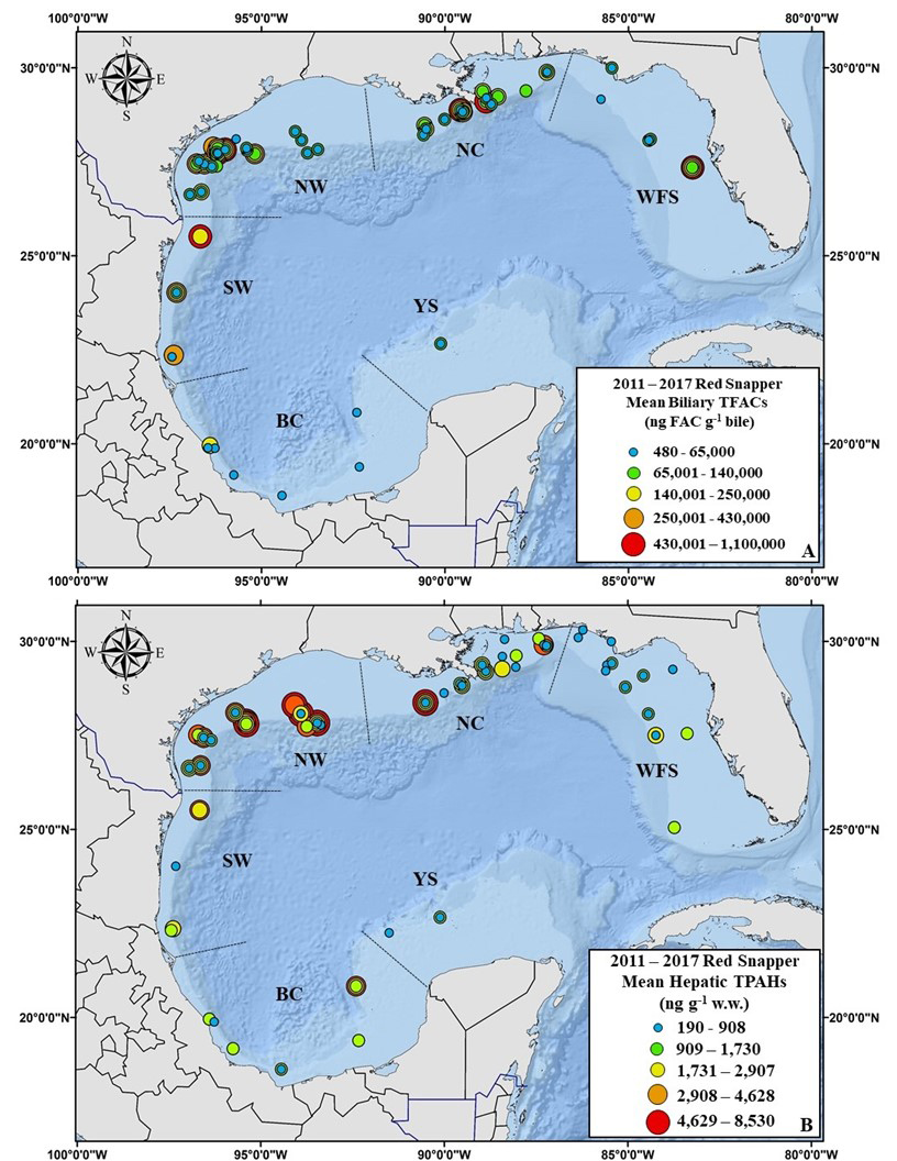 Mean concentrations of polycyclic aromatic hydrocarbons (PAHs, which are labeled here as total fluorescent aromatic compounds) in the bile (biliary, top map) and the liver (hepatic, bottom map) in the red snapper study that took place 2011-2017.