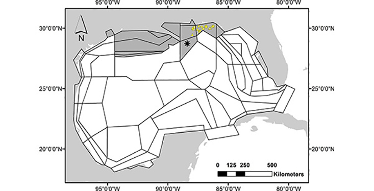An end-to-end ecosystem model” estimates fish populations and ecosystem health in the decades following the 2010 BP oil spill.