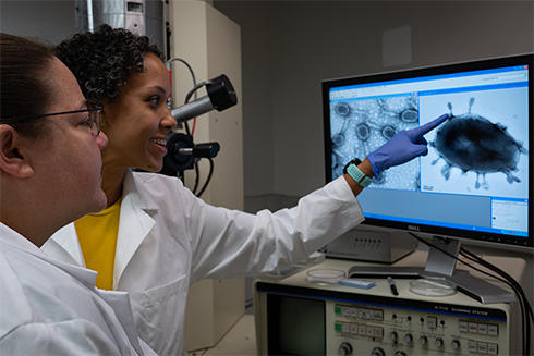 First-year courses that address the “hidden curriculum” of graduate school are critical, according to a publication in Nature Geoscience that includes co-author Dr. Mya Breitbart.