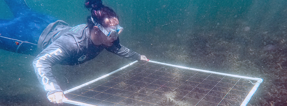 Natalia López Figueroa will graduate with her doctorate in Biological Oceanography at the USF Spring 2025 commencement ceremony.