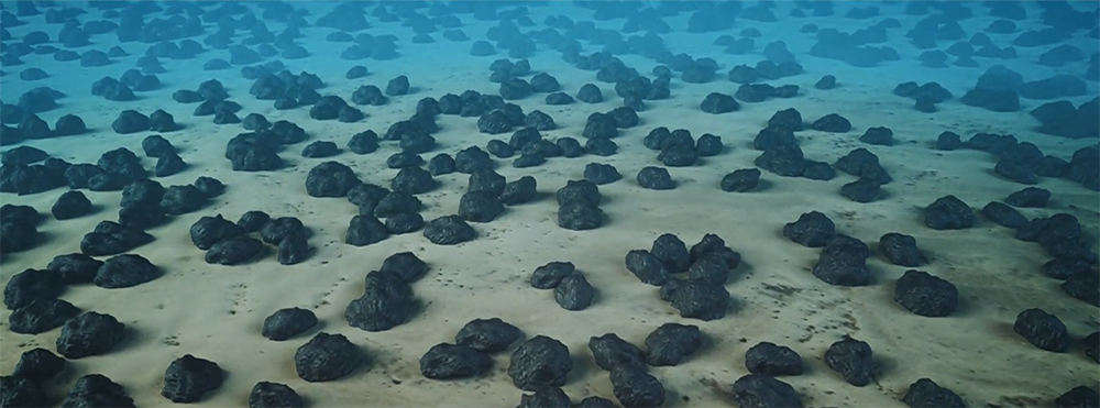 Some of the deepest parts of the seafloor are covered by dense deposits of polymetallic nodules, shown here, which contain richer stores of valuable metals like cobalt and nickel than manyfound on land. The nodules range in size from a golf ball to a potato. Credit: Maersk 