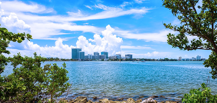 Seagrapes and mangroves cling to the shores of Oleta River State Park in North Miami Beach. Sea level may increase by more than a foot along Florida’s Atlantic and Gulf coasts by 2050.