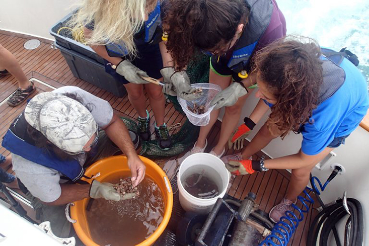 Oceanography Camp for Girls (OCG) campers identify and sort organisms collected aboard the R/V Angari. This research cruise is one of the unique aspects of OCG that is hard to mimic in a virtual environment.