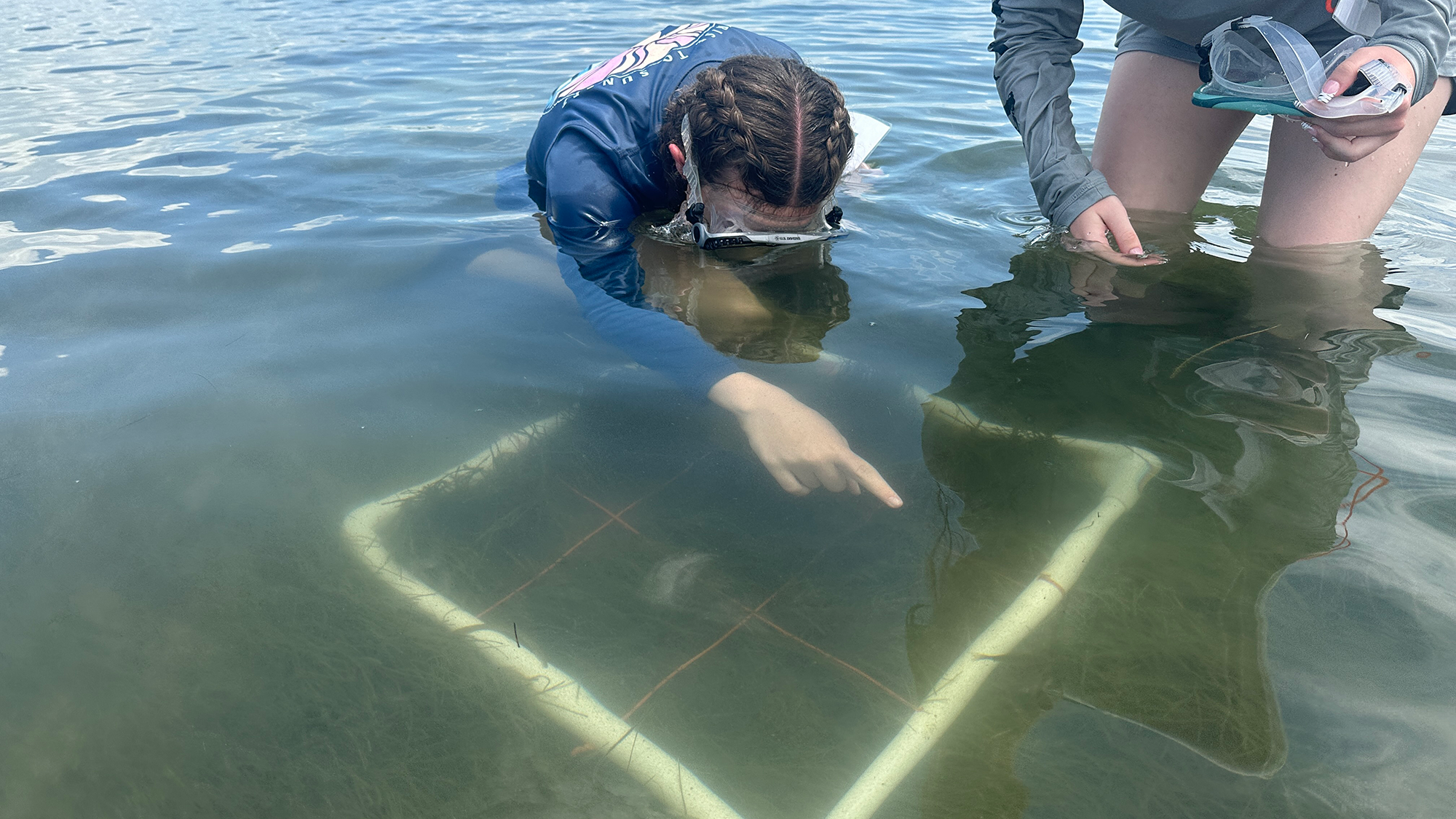 Campers learn about marine science through field experiments and activities, such as measuring sea grass abundance in the field.