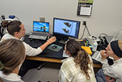 Pamela Hallock Muller named USF Distinguished University Professor