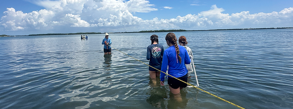 Over 1,500 campers have attended the Oceanography Camp Especially for Girls since it launched in 1991, learning about marine science through field trips and hands-on activities led by graduate students.