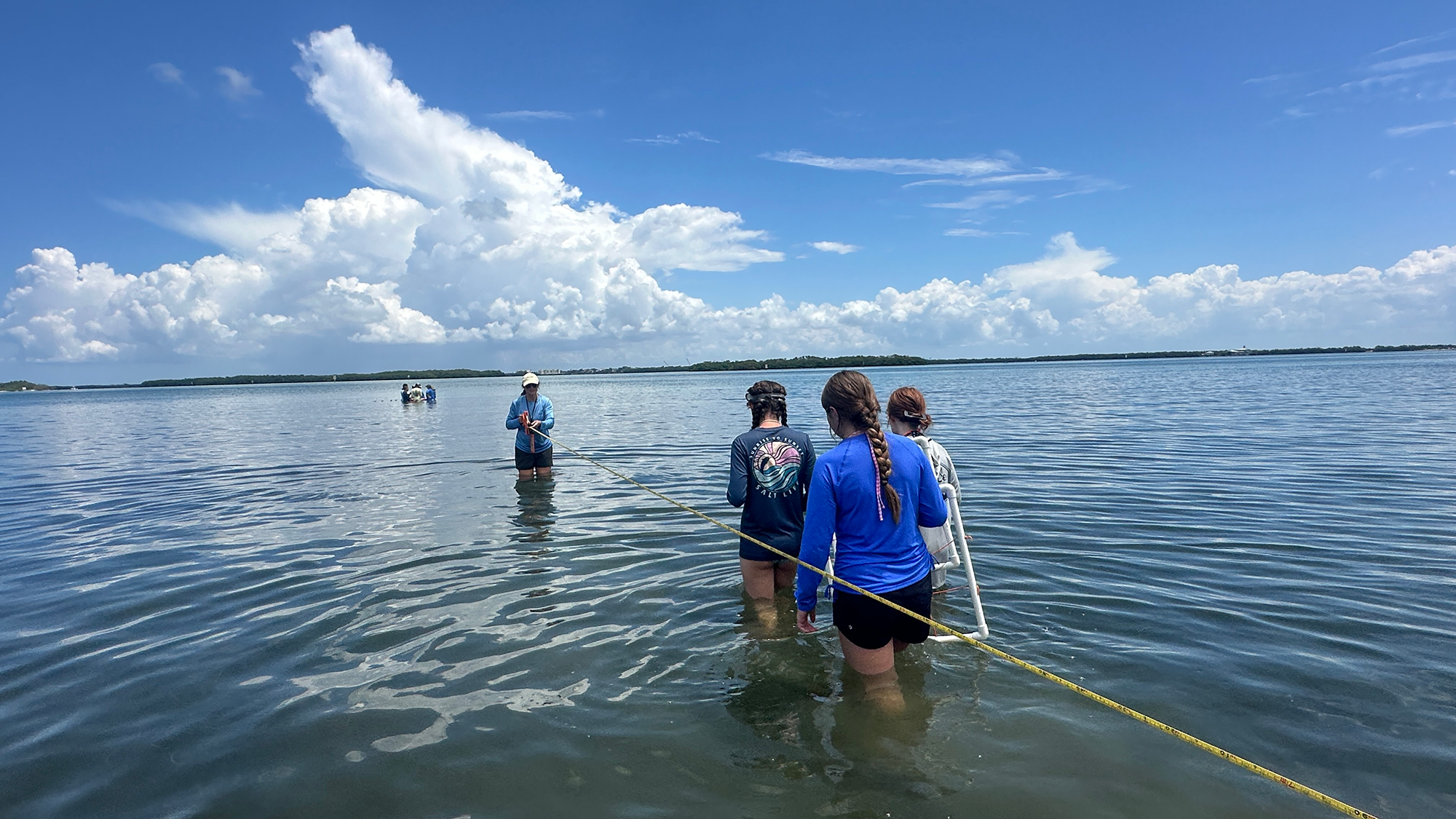 Over 1,500 campers have attended the Oceanography Camp Especially for Girls since it launched in 1991, learning about marine science through field trips and hands-on activities led by graduate students.