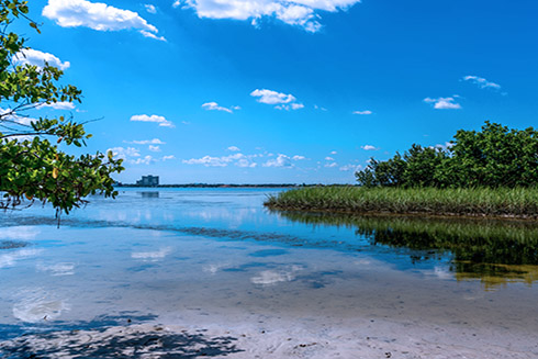 The Florida Flood Hub for Applied Research and Innovation, Mangrove shoreline, Coastal Resilience