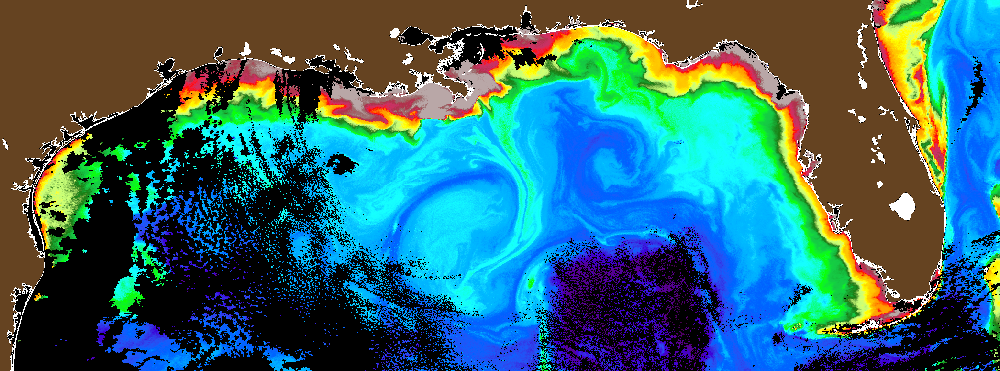This high-quality image captured by PACE reveals eddies, the Loop Current, river plumes, and coastal circulation in the Gulf of Mexico. Credit: The Optical Oceanography Lab