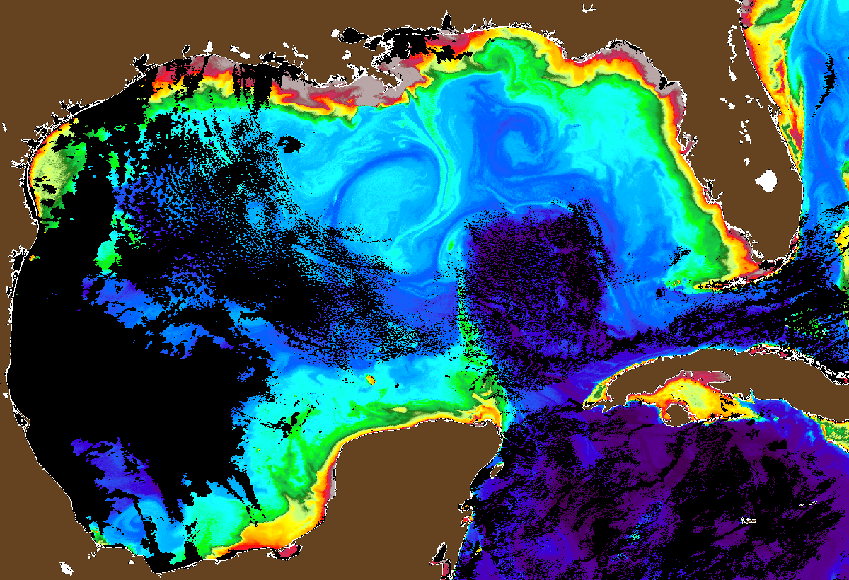 This high-quality image captured by PACE reveals eddies, the Loop Current, river plumes, and coastal circulation in the Gulf of Mexico. Photo Credit: The Optical Oceanography Lab